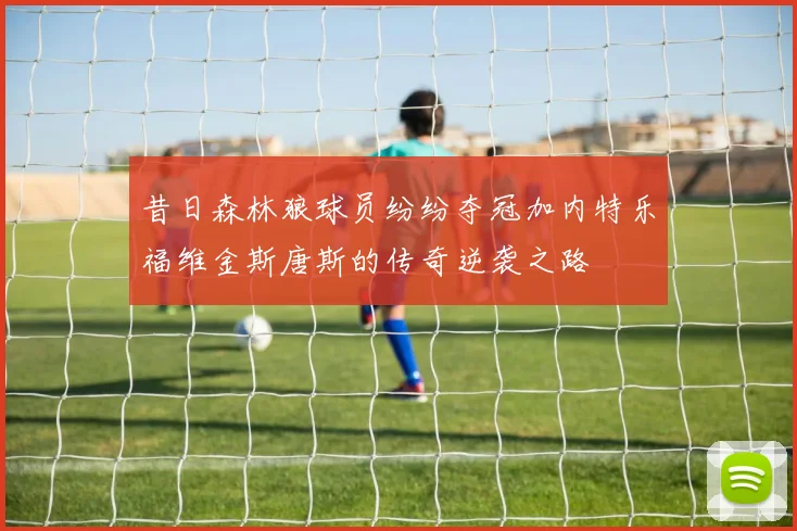 昔日森林狼球员纷纷夺冠加内特乐福维金斯唐斯的传奇逆袭之路