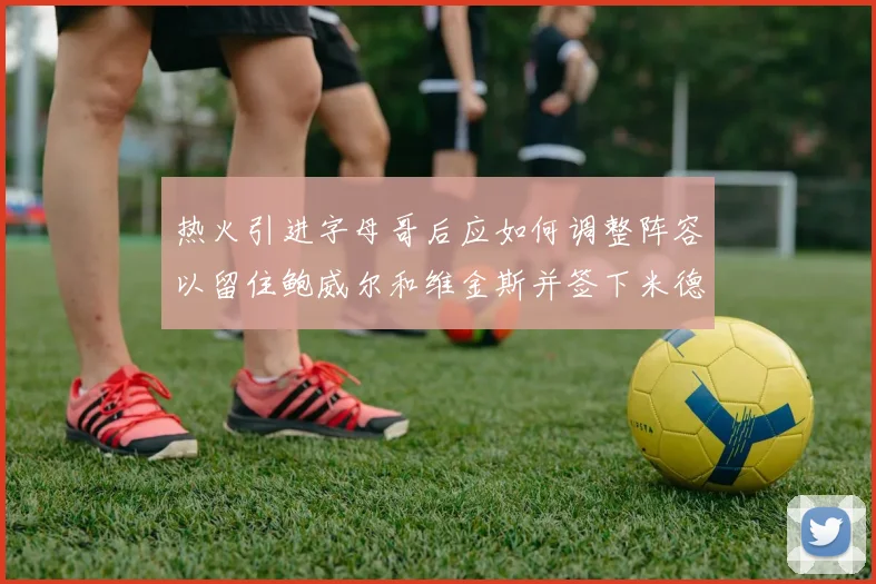 热火引进字母哥后应如何调整阵容以留住鲍威尔和维金斯并签下米德尔顿