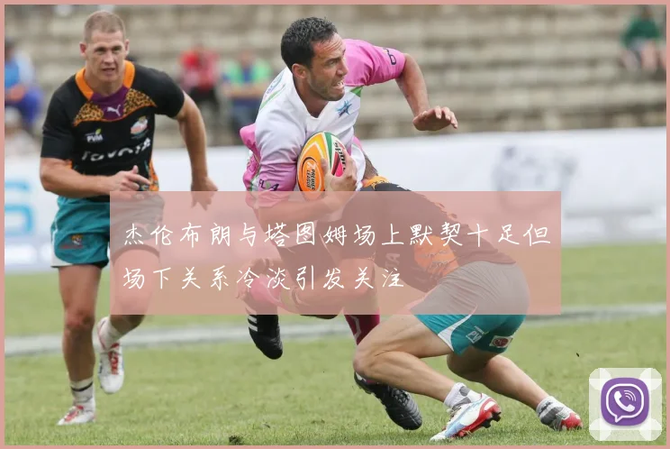 杰伦布朗与塔图姆场上默契十足但场下关系冷淡引发关注
